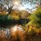 Colorful autumn scenery in a park