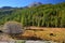 Colorful Autumn scenery in Vallee de la Claree Claree Valley above Nevache village