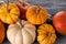 Colorful autumn seasonal pumpkin pile on wooden grey background with copy space for text. Halloween or thanksgiving