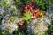 Colorful autumn skin of the earth in the woods of Yakutia with a young tree from an old tree stump between the bumps with a white.