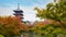 Colorful Autumn at Toji Temple in Kyoto