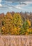 Colorful autumn trees against the bright blue sky with white and grey clouds and dried straw foreground. Autumn rural landscape in