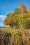 Colorful autumn trees against the bright blue sky with white and grey clouds and dried straw foreground. Autumn rural landscape in