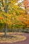 Colorful Autumn trees in fall foliage and a rustic fence made of interwoven tree branches