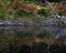 Colorful autumn vegetation reflections in the river