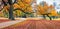 Colorful autumn view of Muskau Park, UNESCO World Heritage Site. Impressive morning scene of Bad Muskau town square, Upper Lusatia