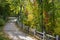 Colorful autumn winding walking path in the alley with trees and illuminating lanterns on a sunny day