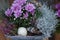 Colorful autumnal chrysanthemum decoration. Blossoming flowers in a the pots with herbs, little pumpkin in basket. Fall decor.