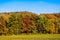 Colorful autumnal panorama image forest