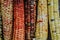 Colorful background of colored cobs of delicious Indian corn, home decor for the holidays 5