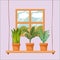 Colorful background with home window with potted plants