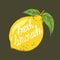 Colorful background with lemon, leaves, english text. Fresh lemonade. Decorative illustration, citrus fruit