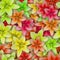 Colorful background with Lily flower. Seamless pattern