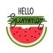 Colorful background with watermelon and english text. Hello summer