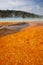 Colorful bacteria mat surrounding Grand Prismatic Spring