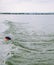 Colorful ball swimming in clear transparent water of Baltic sea