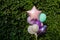 Colorful balloons on the background of green grape leaves. The concept of happy birthday in summer