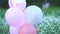 Colorful balloons and flower