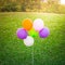 Colorful balloons sunset tone on green grass background