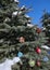 Colorful baubles on conifer