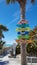 Colorful beach signs on palm tree