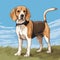 Colorful Beagle Dog Illustration On White Background