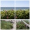 Colorful Beautiful Baltic Landscape Travel Collage