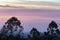 Colorful beautiful purple stripes of clouds on sky before the sunrise in the hazy early morning time