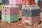 Colorful Beehive Boxes