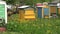 Colorful beehive group in old farm garden