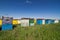 Colorful beehives aligned in a green field