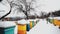 Colorful beehives covered in snow