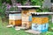 Colorful Beehives in the garden