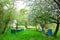 Colorful beehives in spring orchard