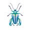 Colorful beetle. Spotted bright bug icon, top view. Fauna species, multicolored wings, antenna. Summer animal, wild