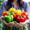 Colorful Bell Pepper Harvest on the Farm