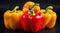Colorful bell peppers on a black background. Selective focus