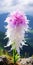 Colorful Biomorphic Forms: Pink And White Flowers On A Rock