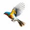 Colorful Bird Flying On White Background - High Quality Digital Airbrushing