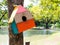 Colorful Bird Houses in the park Hanging on a tree, The bird house was placed at various points.birdhouse forest with many brightl