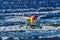 Colorful Bird Kite Canon Beach Oregon