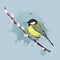 Colorful bird sitting on willow branch. Titmouse. Vector illustration