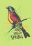 Colorful bird spring poster or tee shirt design