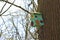 A colorful birdfeeder on the tree