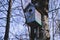 Colorful birdhouse on the tree. Nesting box.