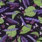 Colorful black beans pods and grains seamless pattern. Stem, leaves and flowers of natural plant isolated on black