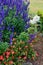 Colorful blooms in the park on a summer afternoon