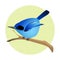 Colorful blue bird on a branch, side profile. Exotic fauna.