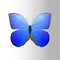 Colorful blue butterfly with abstract decorative pattern summer free fly present silhouette and beauty nature spring