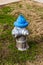 Colorful Blue and Silver Fire Hydrant used for supplying water
